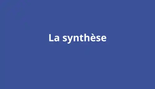format synthèse
